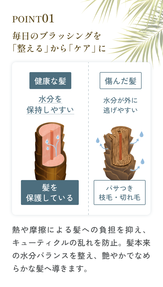 Point 01 毎日のブラッシングを「整える」から「ケア」に